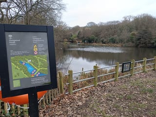 Hampstead Heath bathing ponds in London, United Kingdom