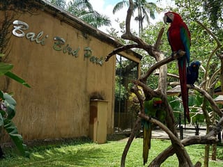 Bali Bird Park in Seminyak, Indonesia