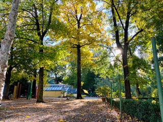 Botanical Garden of Florence in Florence, Italy