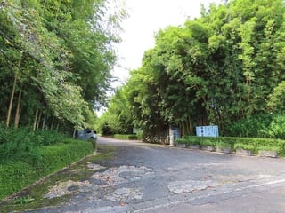 Fuji Bamboo Garden in Ashigarashimo, Japan