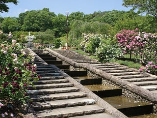 Kitayama Botanical Garden in Kobe, Japan