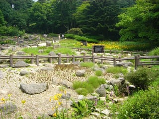 Rokko Alpine Botanical Garden in Kobe, Japan