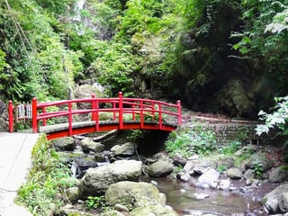 Shasui Falls in Ashigarashimo, Japan