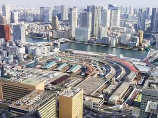 Tsukiji fish market in Tokyo, Japan