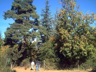 Arboretum La Alfaguara in Granada, Spain
