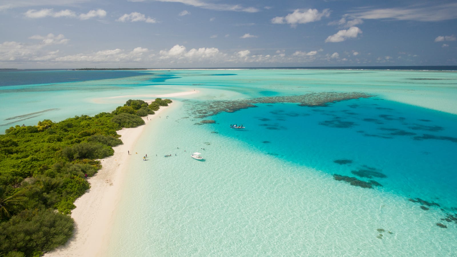 A palm-covered island and turquoise lagoon in Dhaalu Atoll, the Maldives