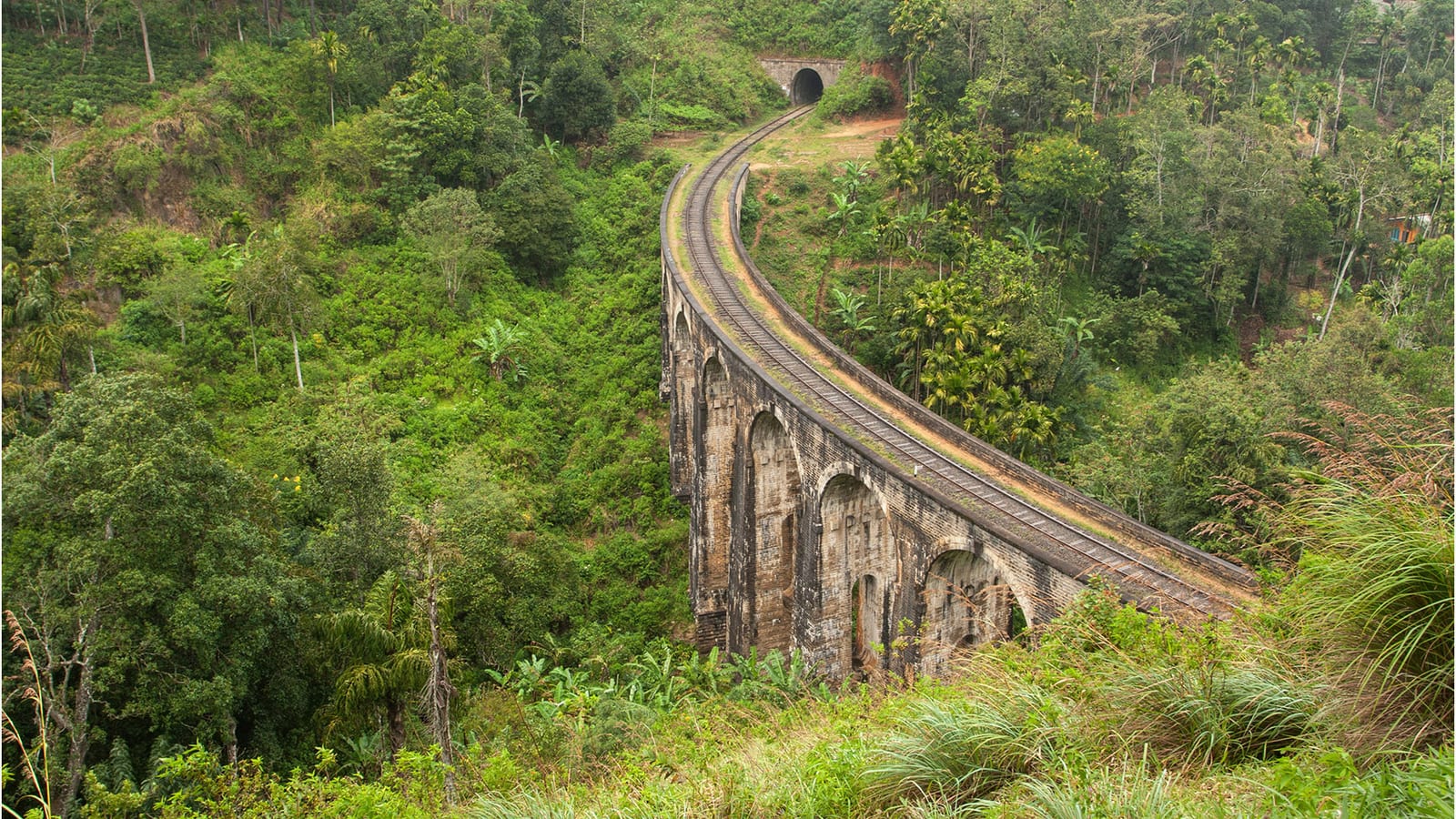 The Nine Arch Bridge curving through jungle at Demodara near Ella, Sri Lanka